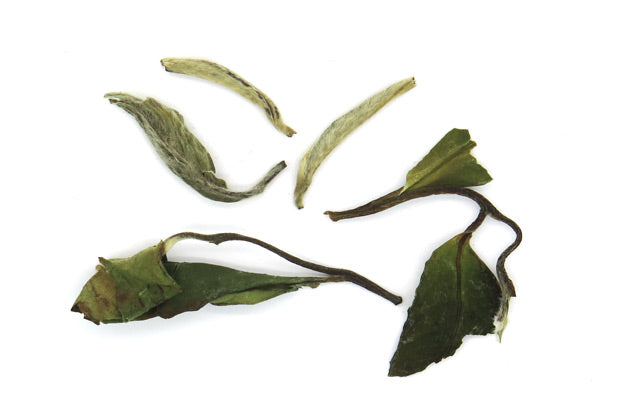 Pai Mu Tan. / 50 gr.