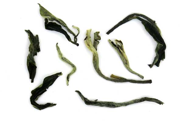 Zielona Małpa. / 50 gr.