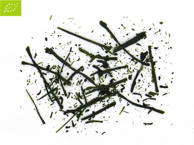 Biografia Senchy Fukamushi Kirishimy. / 50 gr.