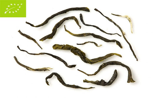 Biografia Gu Zhan Mao Jiana. / 50 gr.